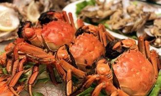 杀蟹 2023,蟹界争霸，谁主沉浮？